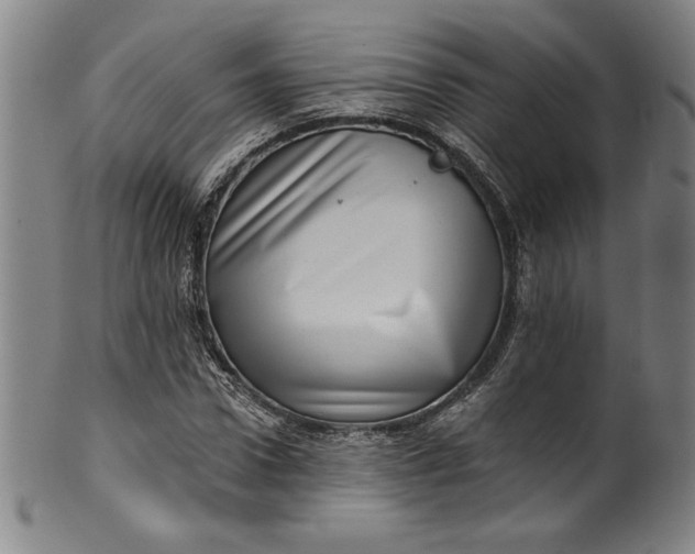 X0000099970922200806061626