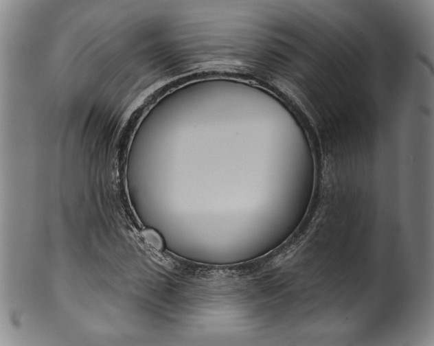 X0000099970923200806061626