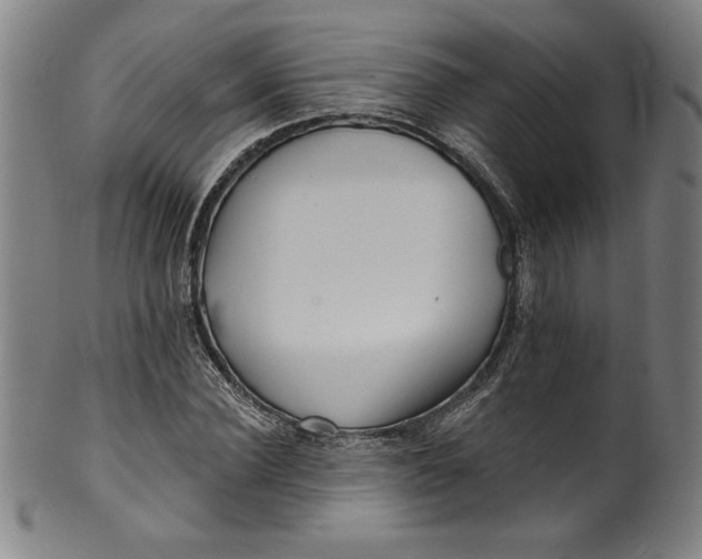 X0000099970924200806061626