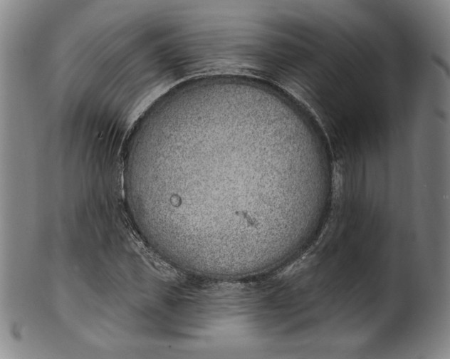 X0000099970925200806061626