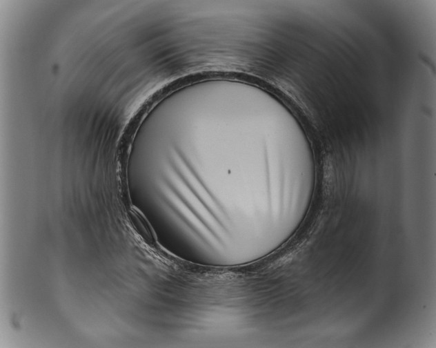 X0000099970926200806061626