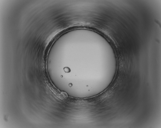 X0000099970927200806061626