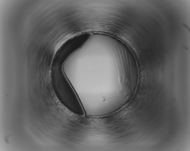 X0000099970928200806061626