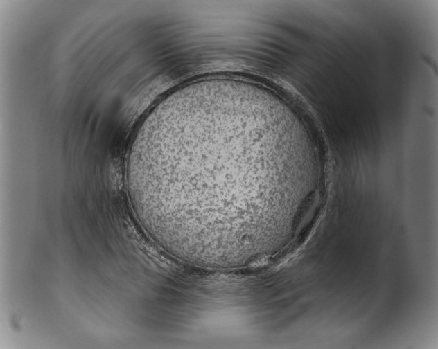 X0000099970929200806061626