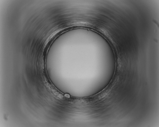 X0000099970931200806061626