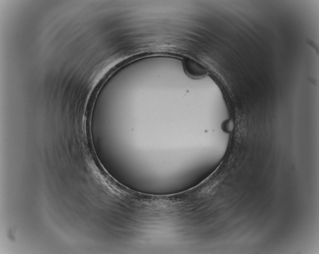 X0000099970932200806061626