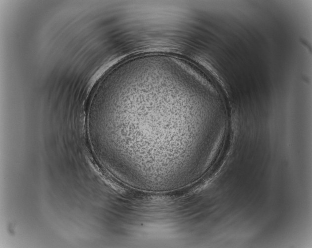 X0000099970933200806061626