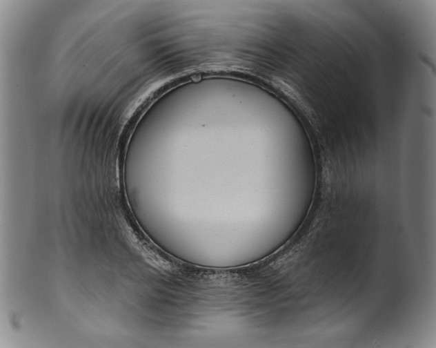 X0000099970934200806061626