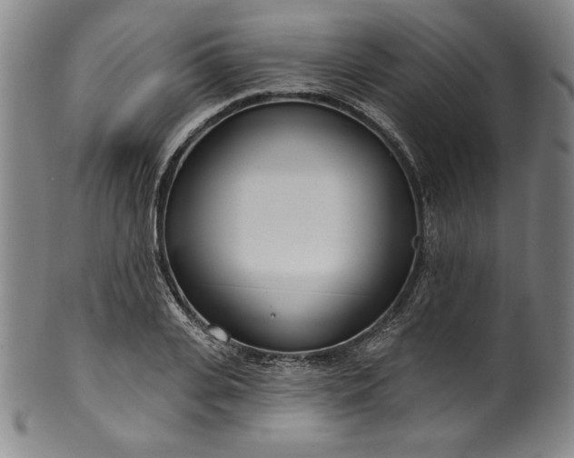 X0000099970935200806061626