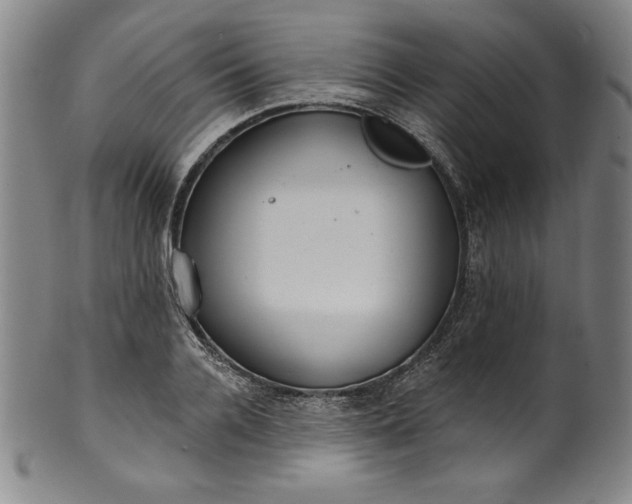 X0000099970936200806061626