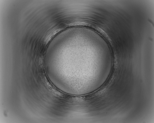 X0000099970937200806061626