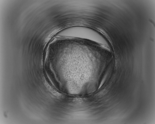 X0000099970938200806061626