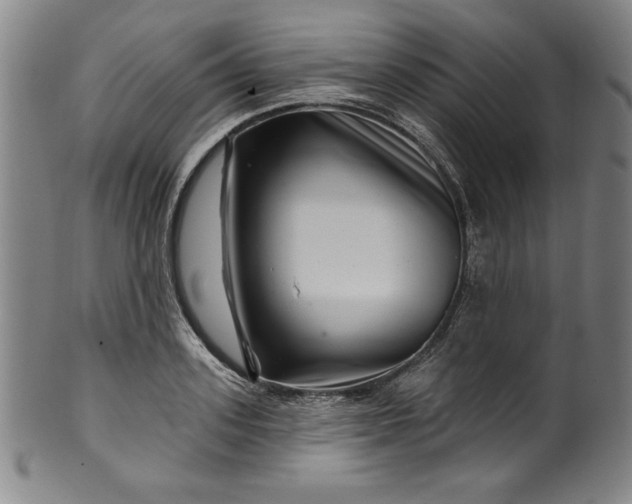 X0000099970939200806061626