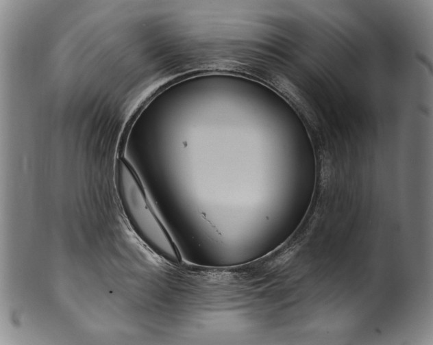 X0000099970940200806061626