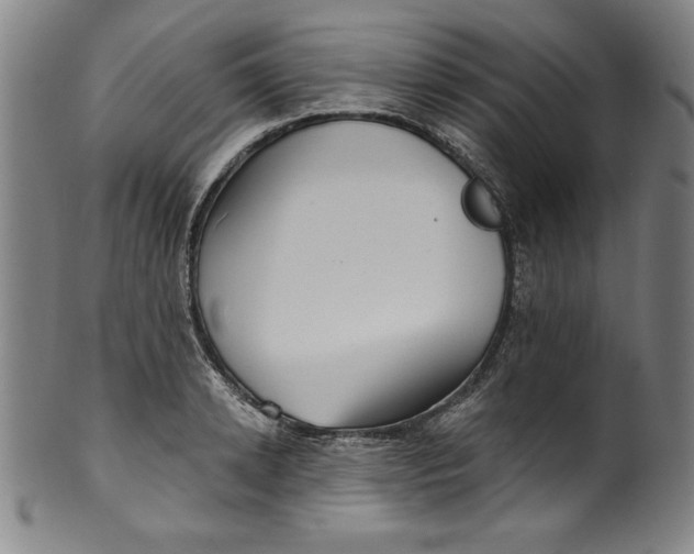 X0000099970942200806061626