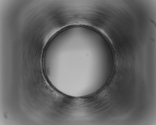 X0000099970943200806061626