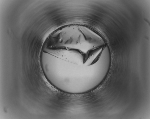 X0000099970944200806061626