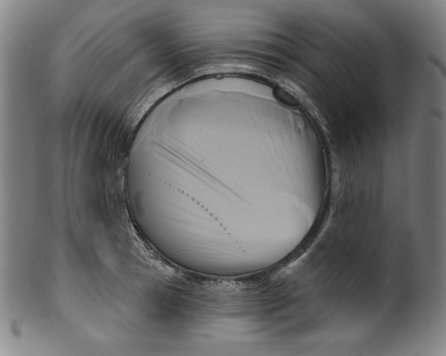 X0000099970945200806061626