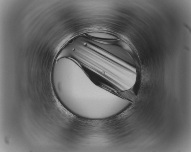 X0000099970946200806061626