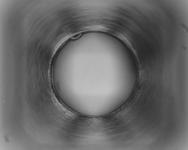 X0000099970947200806061626