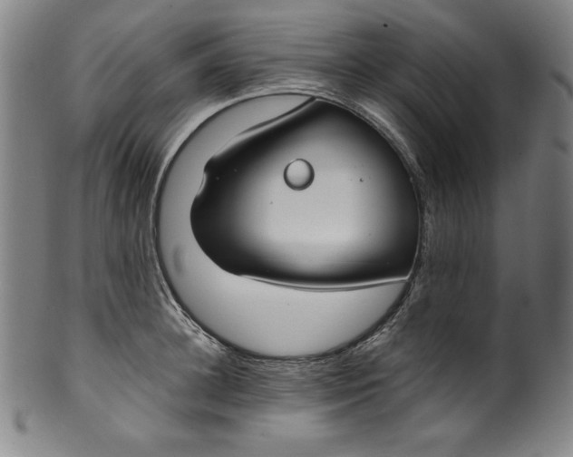 X0000099970948200806061626