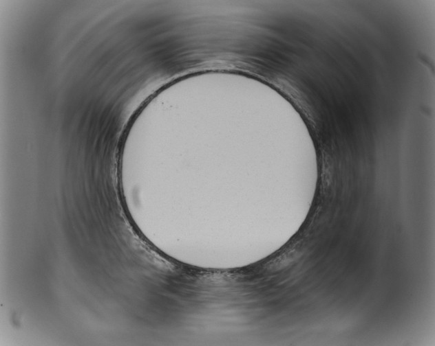 X0000099970950200806061627