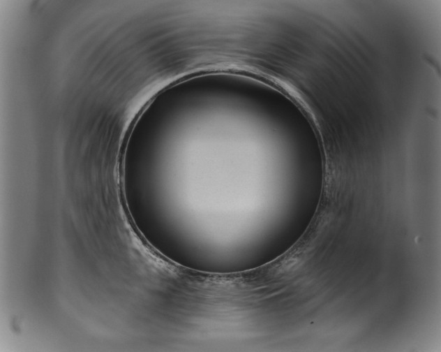 X0000099970951200806061627