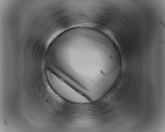 X0000099970952200806061627