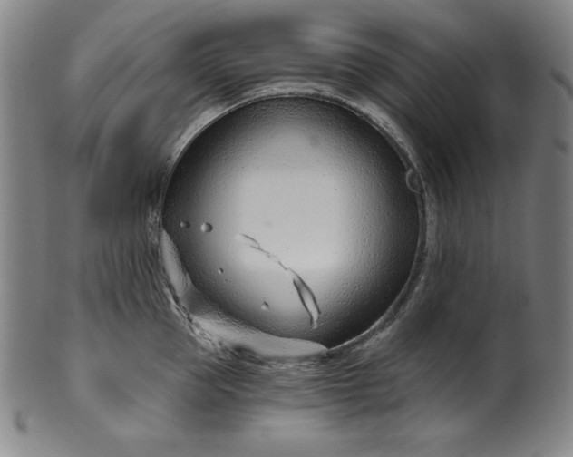 X0000099970953200806061627