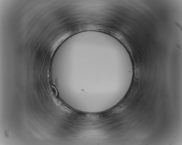 X0000099970954200806061627