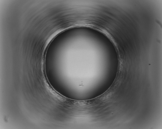 X0000099970955200806061627