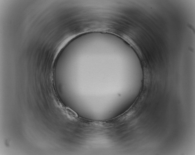 X0000099970956200806061627