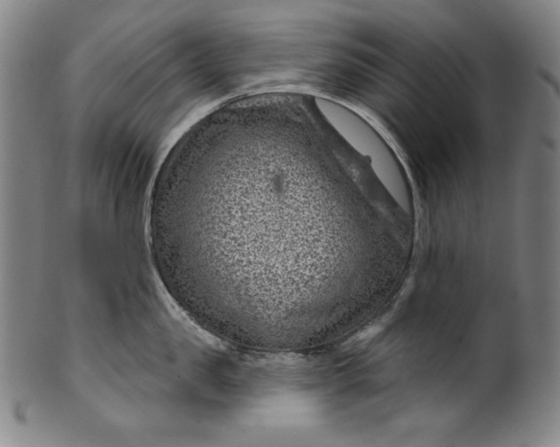 X0000099970957200806061627