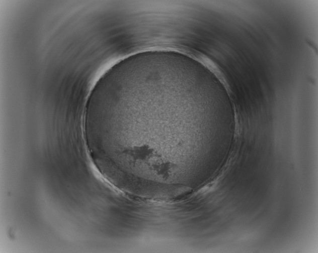 X0000099970958200806061627