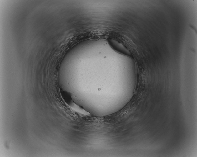 X0000099970961200806061626