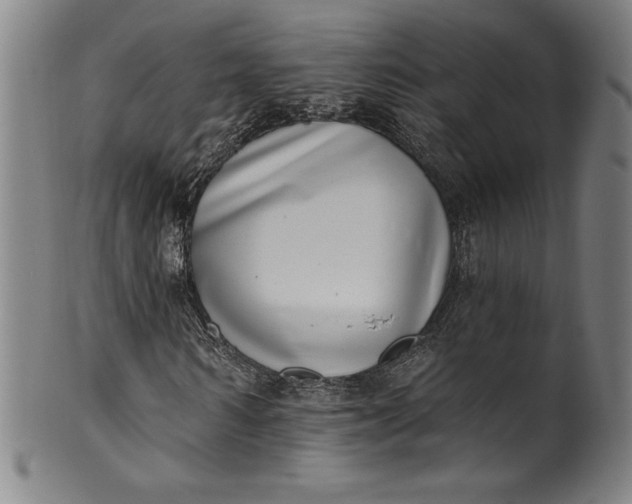 X0000099970962200806061626