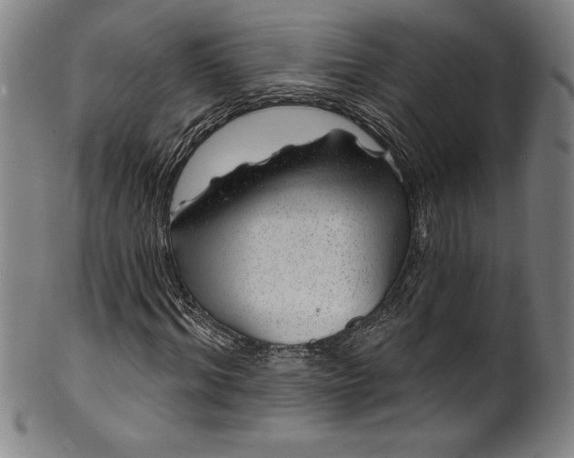 X0000099970964200806061626