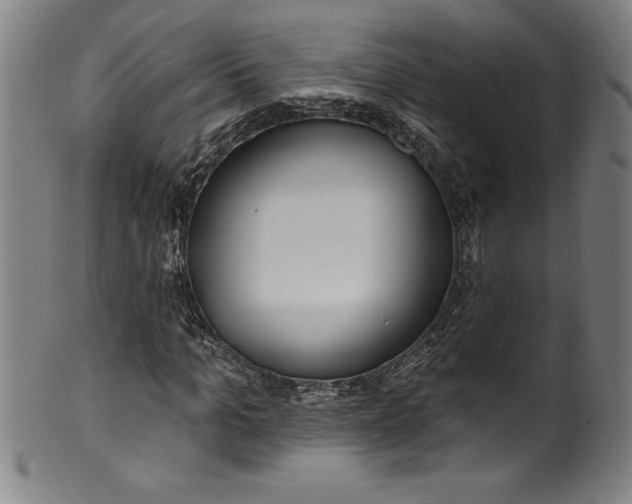 X0000099970965200806061626