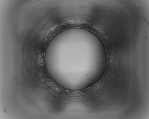 X0000099970966200806061626