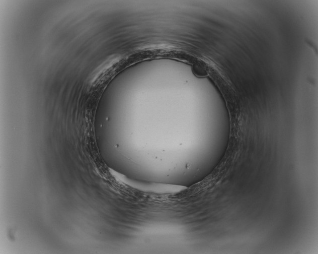 X0000099970967200806061626