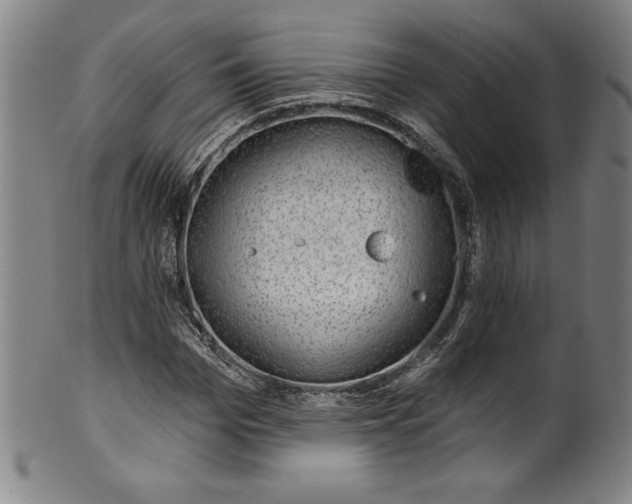 X0000099970969200806061626