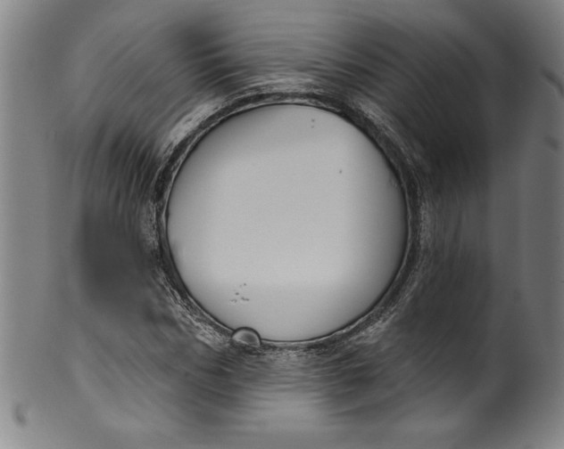 X0000099970970200806061626