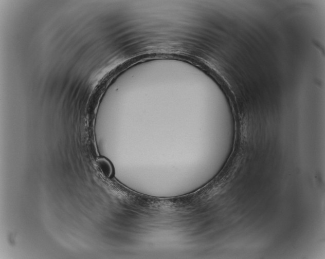 X0000099970971200806061626