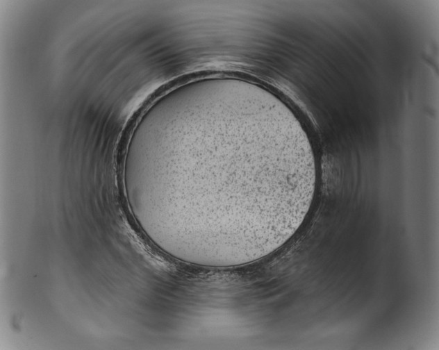 X0000099970972200806061626