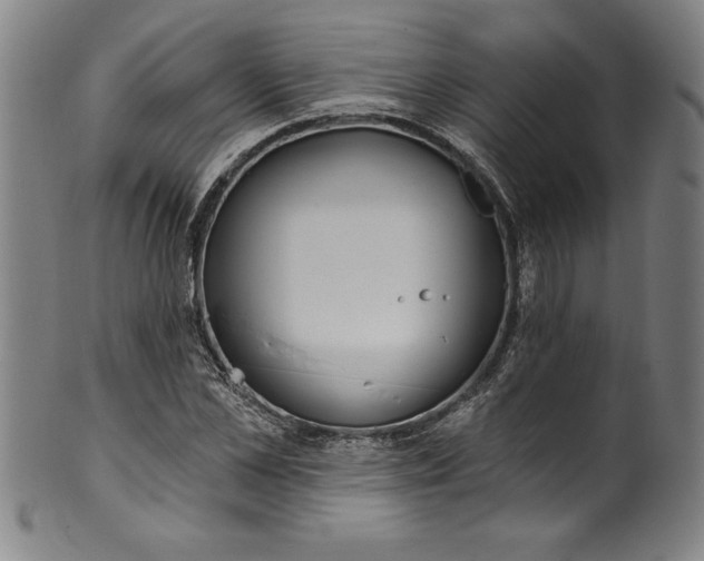 X0000099970973200806061626