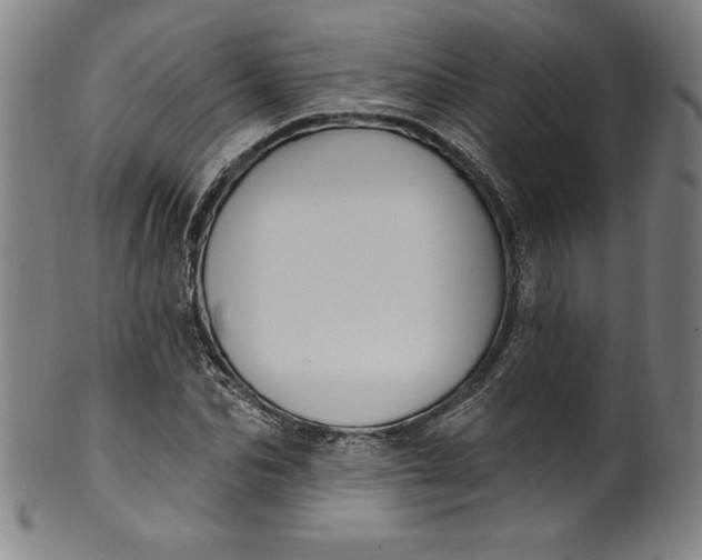 X0000099970974200806061626