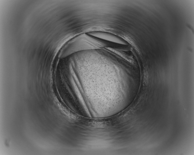 X0000099970976200806061626