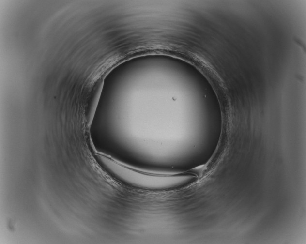 X0000099970977200806061626