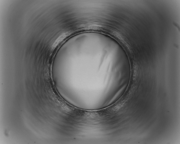 X0000099970978200806061626