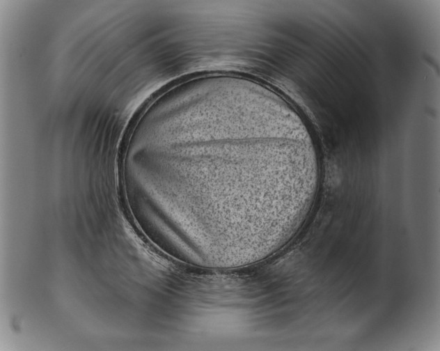 X0000099970980200806061626